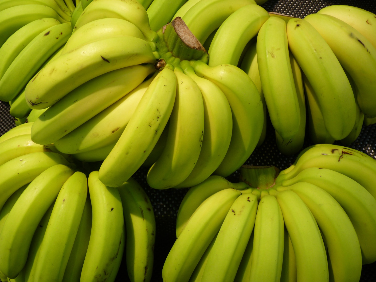 Raw Green Banana